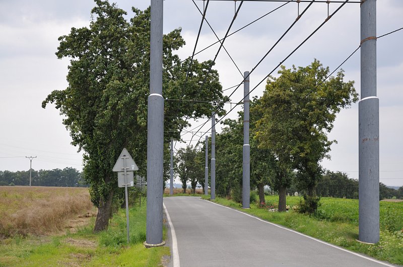 Sluhy – alej nad hájem